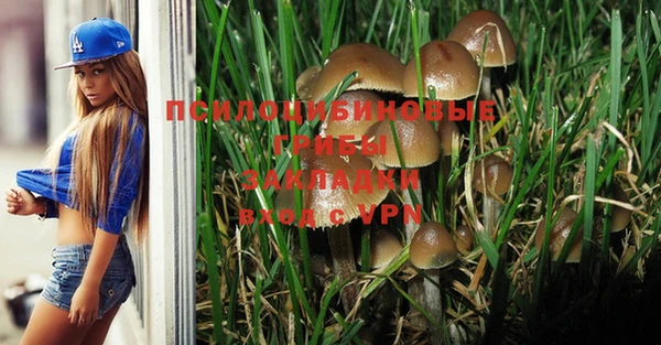 прущая мука Козельск