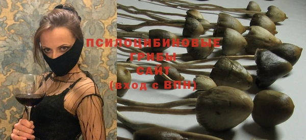 мескалин Козловка